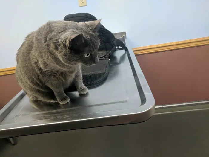 Oakwood Veterinary Clinic Picture 4