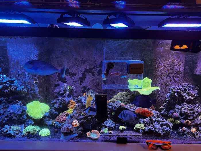 Aqua Hut Picture 3