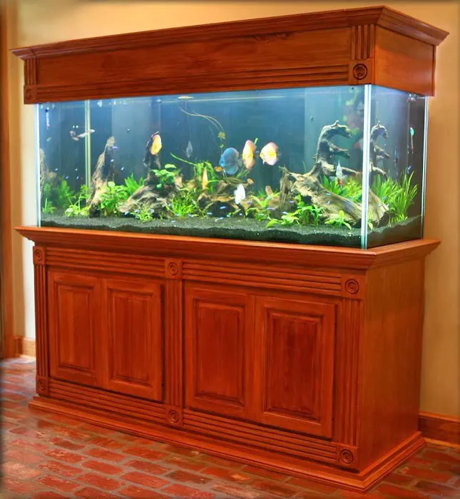 Aqua Hut Picture 8