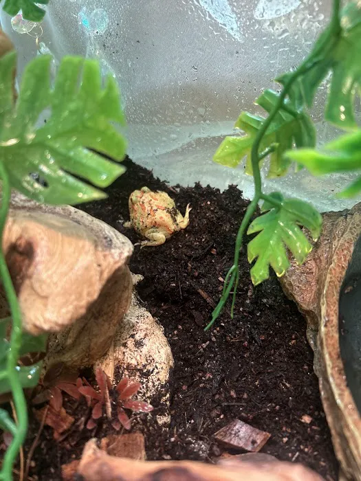 Exotic Empire Pets and Supplies Picture 1