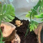 Exotic Empire Pets and Supplies
