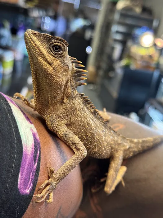 Exotic Empire Pets and Supplies Picture 8