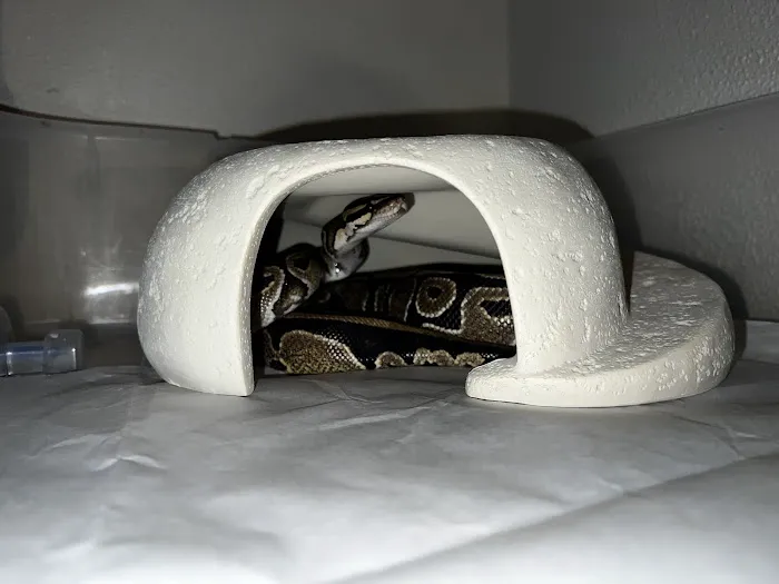 Exotic Empire Pets and Supplies Picture 5