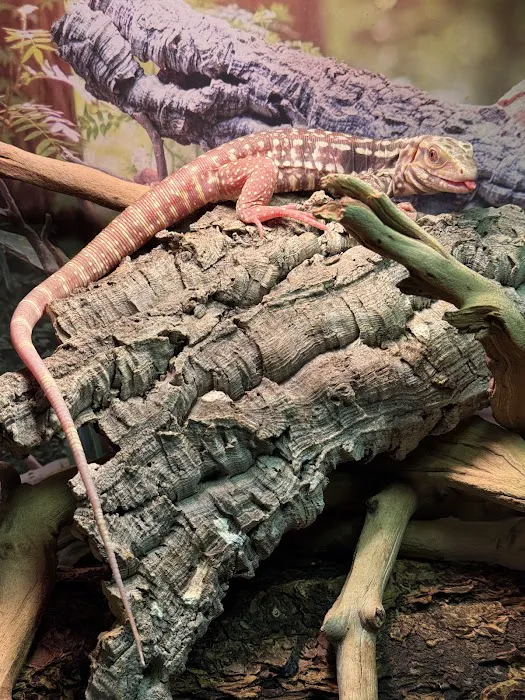 Exotic Empire Pets and Supplies Picture 10