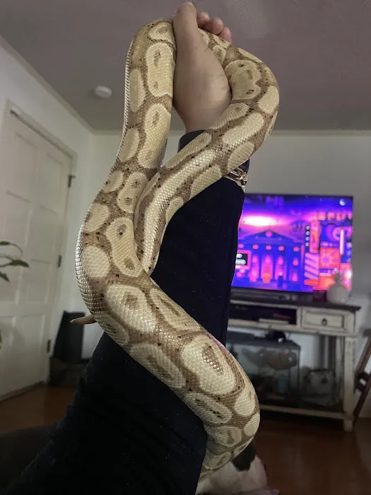 Exotic Empire Pets and Supplies Picture 6