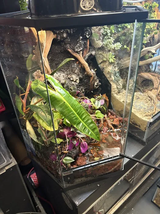 Exotic Empire Pets and Supplies Picture 4