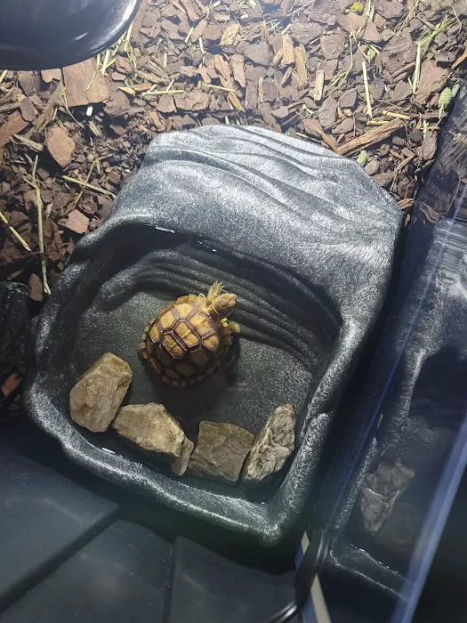 Exotic Empire Pets and Supplies Picture 9
