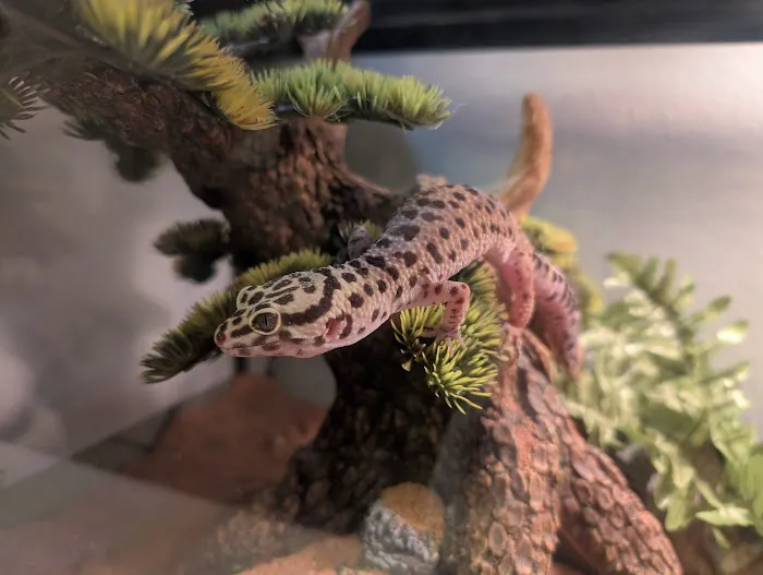 Exotic Empire Pets and Supplies Picture 3