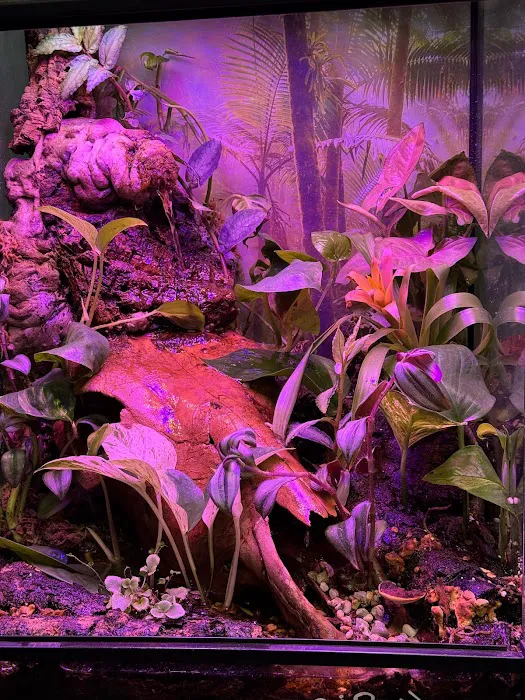 Exotic Empire Pets and Supplies Picture 7
