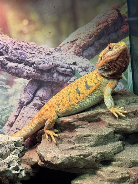 Exotic Empire Pets and Supplies Picture 2