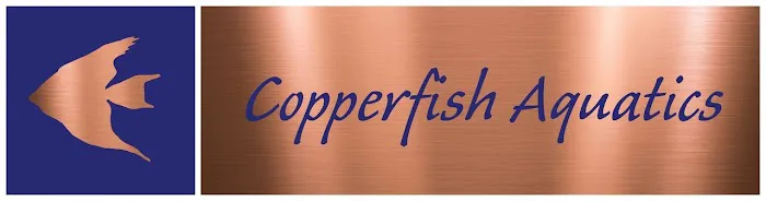 Copperfish Aquatics Picture 1