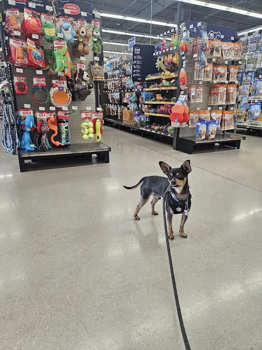 Petco Picture 8