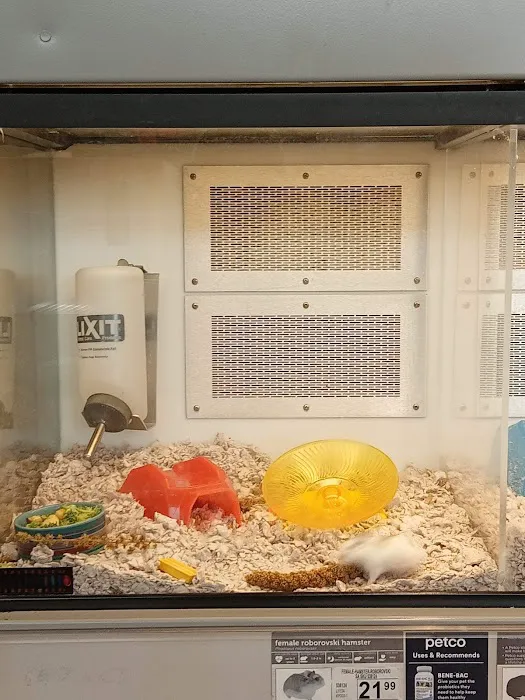 Petco Picture 5