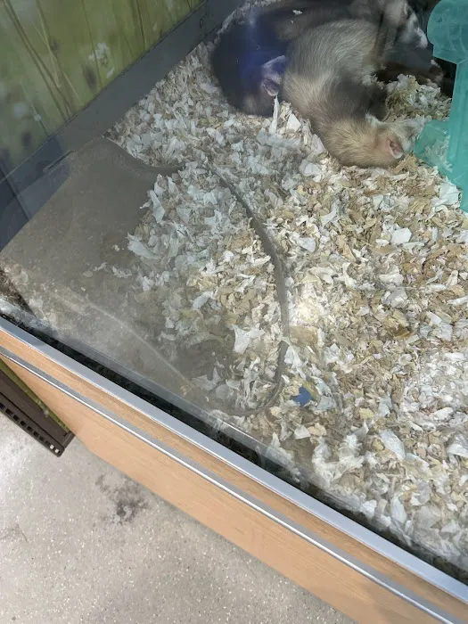 Petco Picture 9