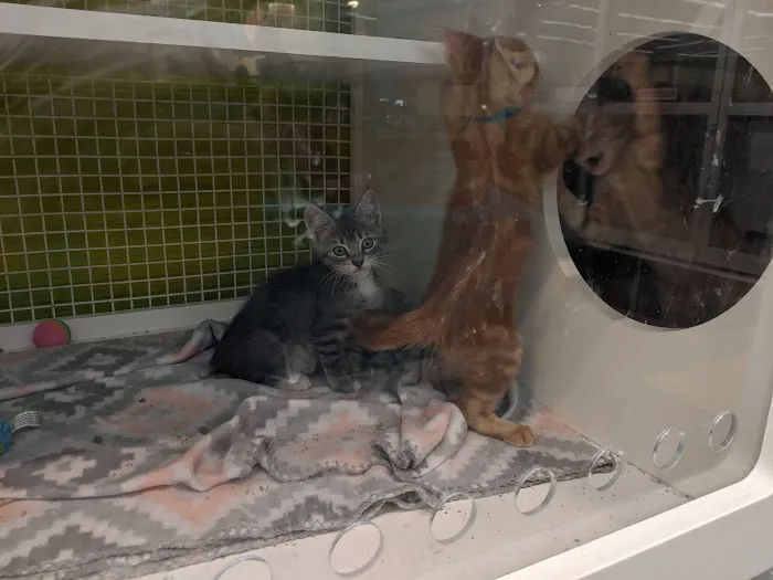 Petco Picture 2