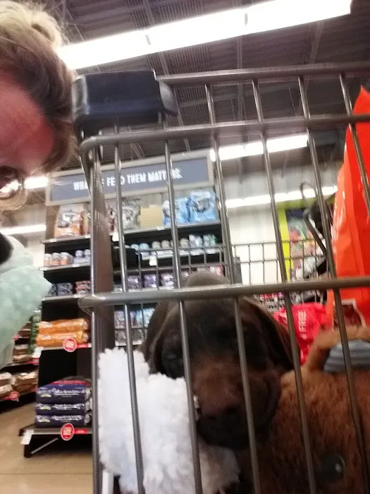 Petco Picture 4