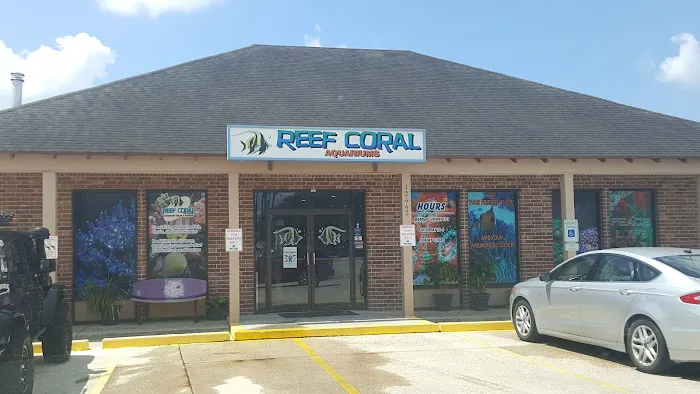 Reef Coral Picture 6