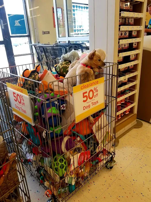 Petco Picture 4