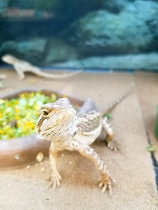 Petco Picture 3