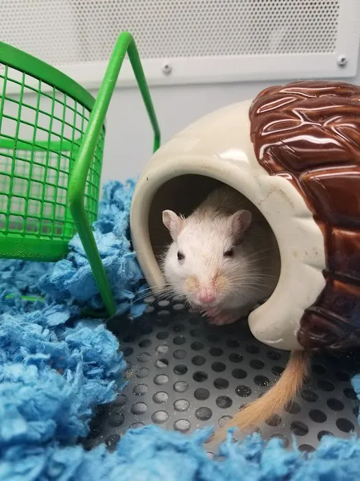 Petco Picture 6