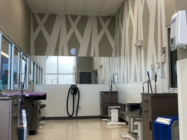 Petco Picture 10