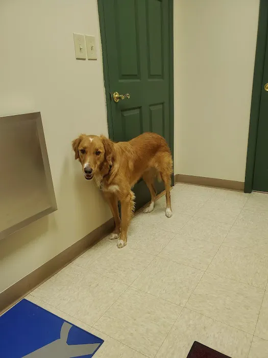 Bayberry Veterinary Care Picture 4