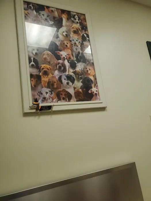 Bayberry Veterinary Care Picture 3
