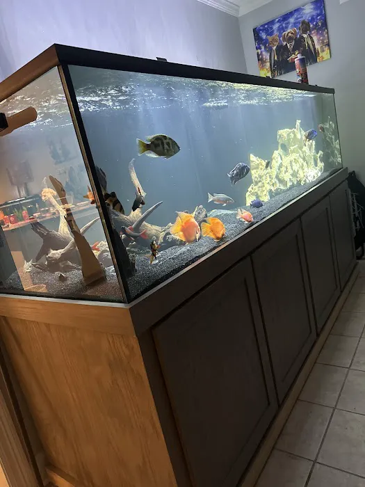 Louisiana Fish Store Picture 2