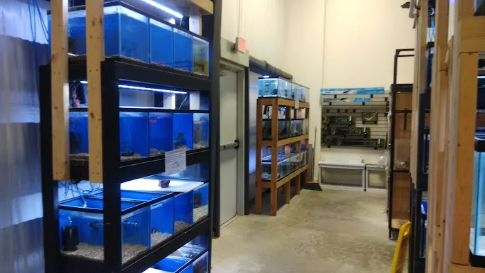 Louisiana Fish Store Picture 5