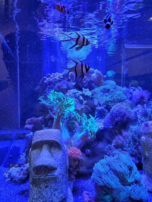 Louisiana Fish Store Picture 8