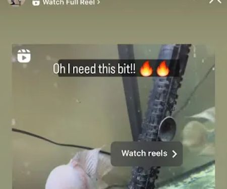 BR Tropical Exotics