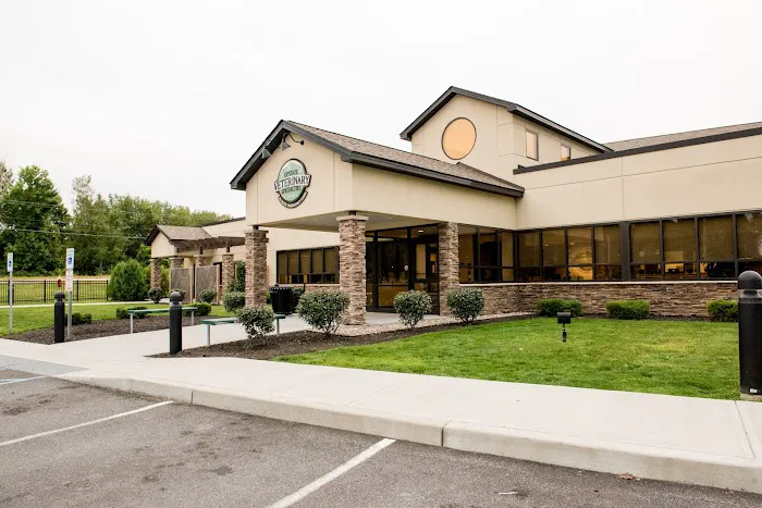 Upstate Veterinary Specialties Picture 4