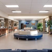 Upstate Veterinary Specialties ico