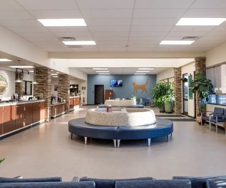Upstate Veterinary Specialties