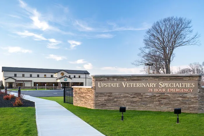 Upstate Veterinary Specialties Picture 6