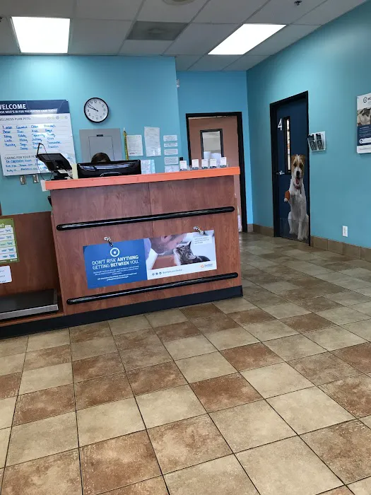 Banfield Pet Hospital Picture 6