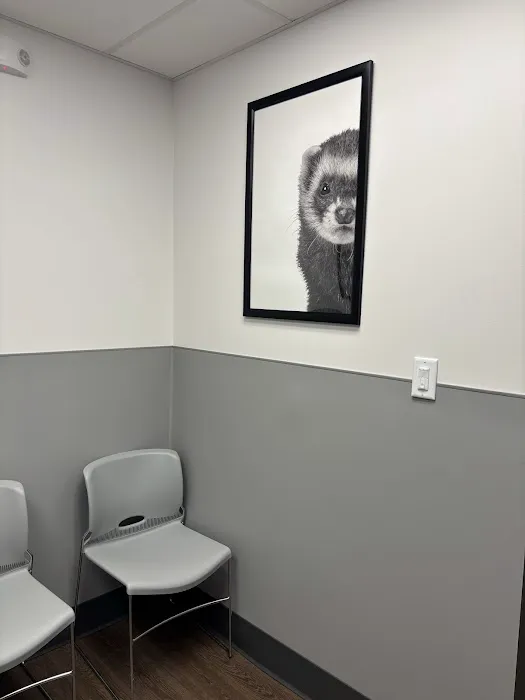 PetMedic Albany - Urgent Care Vet Clinic Picture 3
