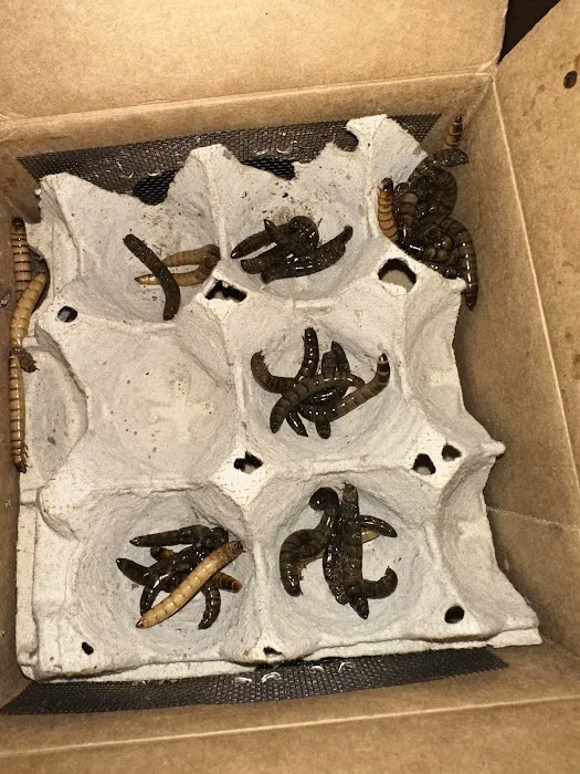 Fluker's Cricket Farm Inc Picture 3