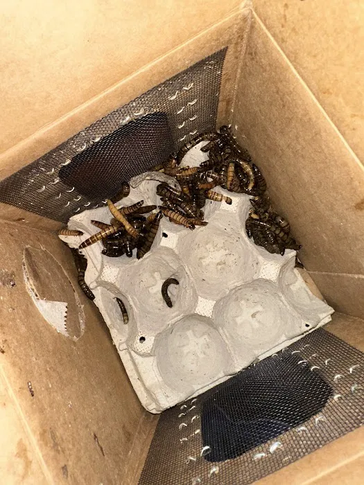 Fluker's Cricket Farm Inc Picture 5