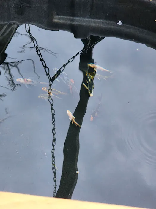 Ornamental Pond Fish, Inc. Picture 10