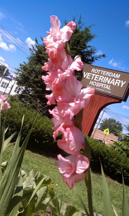 Rotterdam Veterinary Hospital Picture 7
