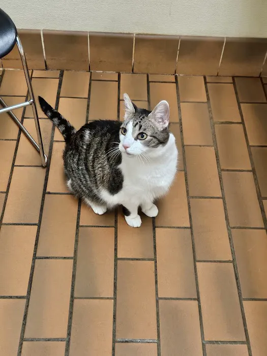 Rotterdam Veterinary Hospital Picture 6