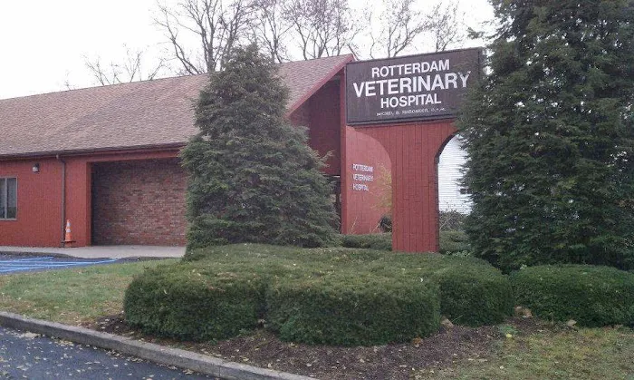 Rotterdam Veterinary Hospital Picture 8