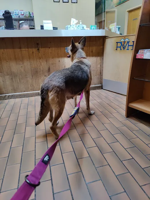 Rotterdam Veterinary Hospital Picture 10