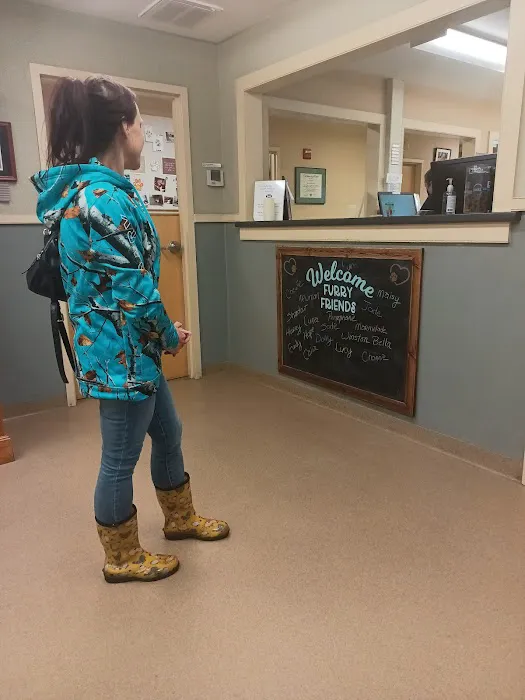 Windham Animal Hospital Picture 3