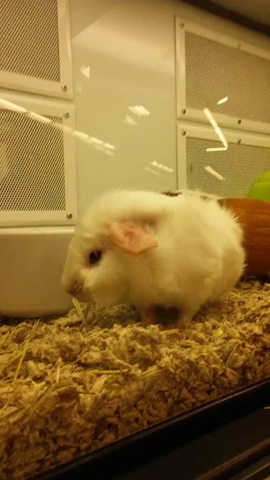 Petco Picture 10