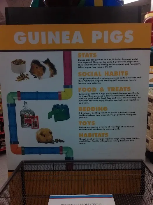 Petco Picture 5