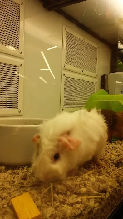 Petco Picture 3