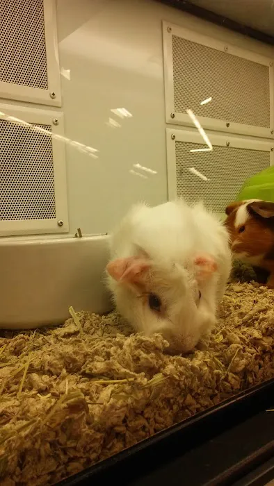 Petco Picture 2