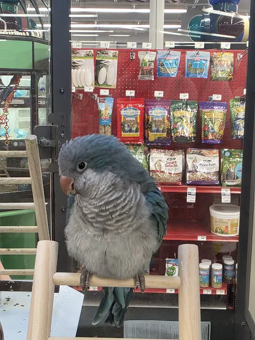 Petco Picture 1